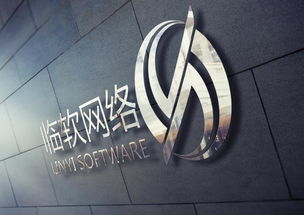山东临软网络科技 专精数字研发，赋能产业未来
